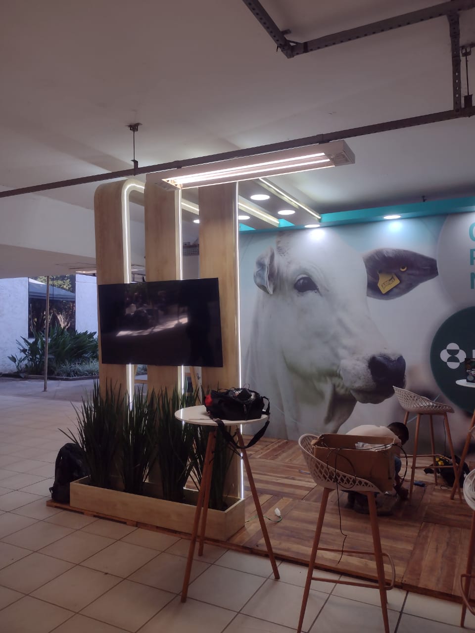 Trabalho de iluminação da EletroNexus — imagem 1